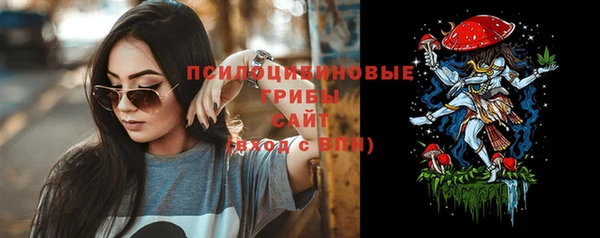 бошки Покачи