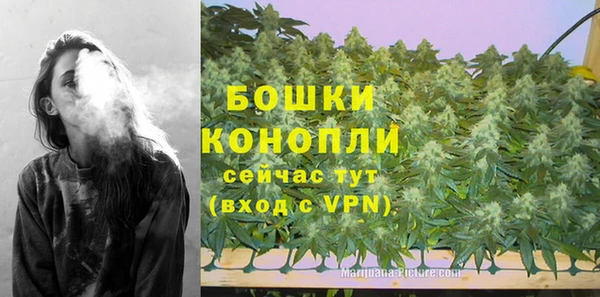 бошки Покачи
