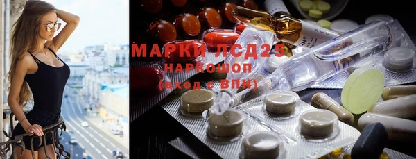 мяу мяу мука Покров