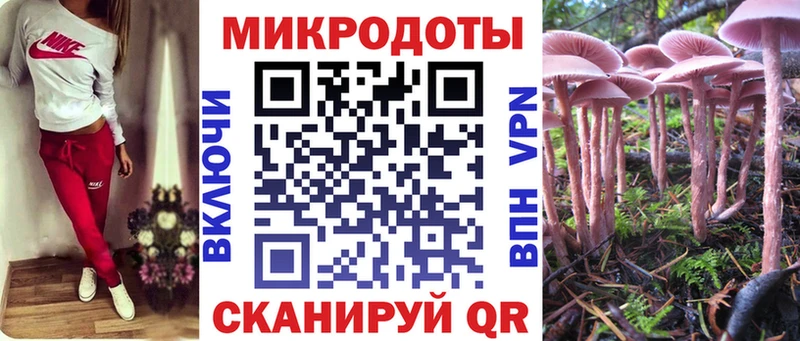 Галлюциногенные грибы Cubensis  omg зеркало  Алатырь 