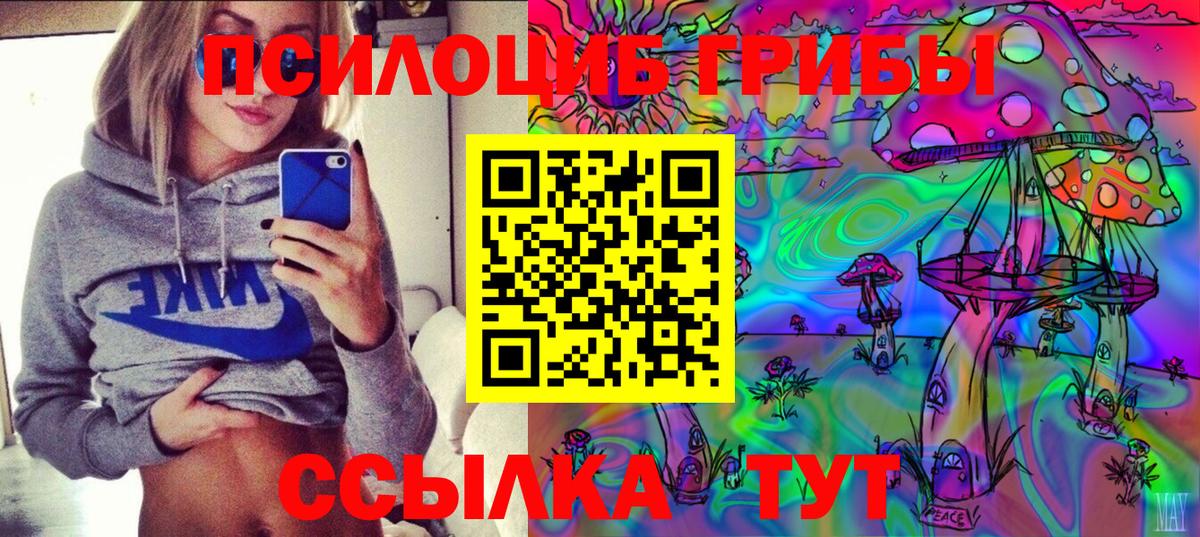 Галлюциногенные грибы Psilocybe Алатырь