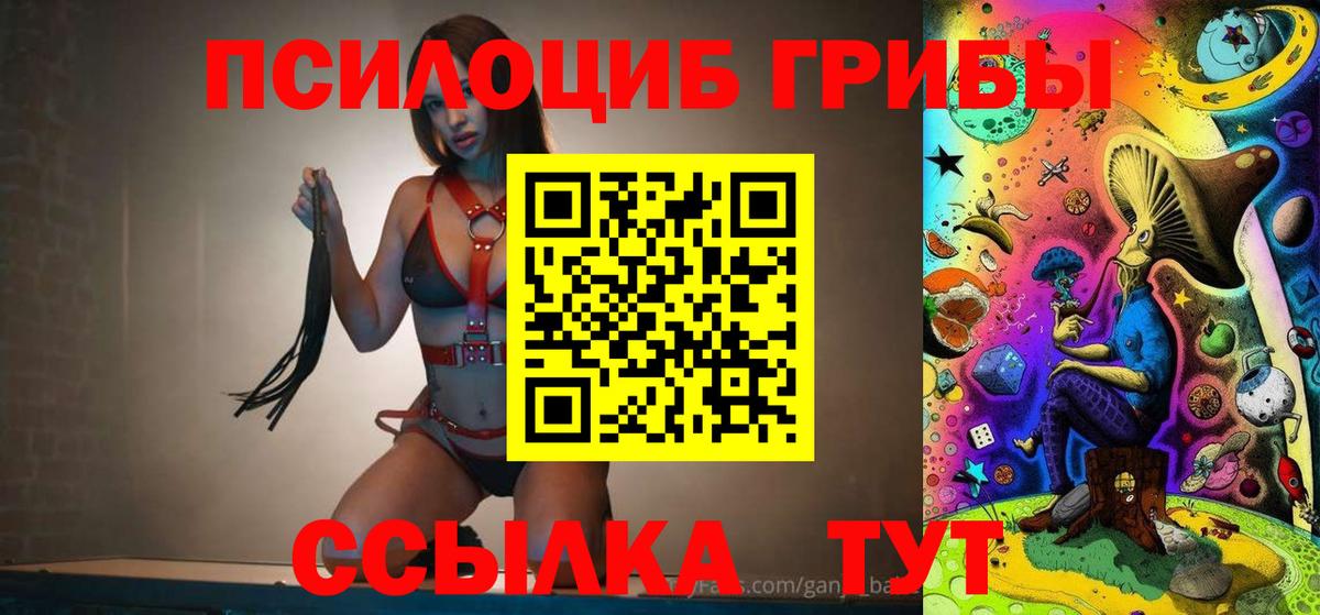 Галлюциногенные грибы прущие грибы  купить  сайты  Галлюциногенные грибы Magic Shrooms  Алатырь 