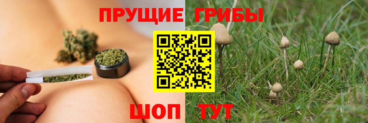 Псилоцибиновые грибы прущие грибы  Вход с VPN  Галлюциногенные грибы MAGIC MUSHROOMS  Алатырь 
