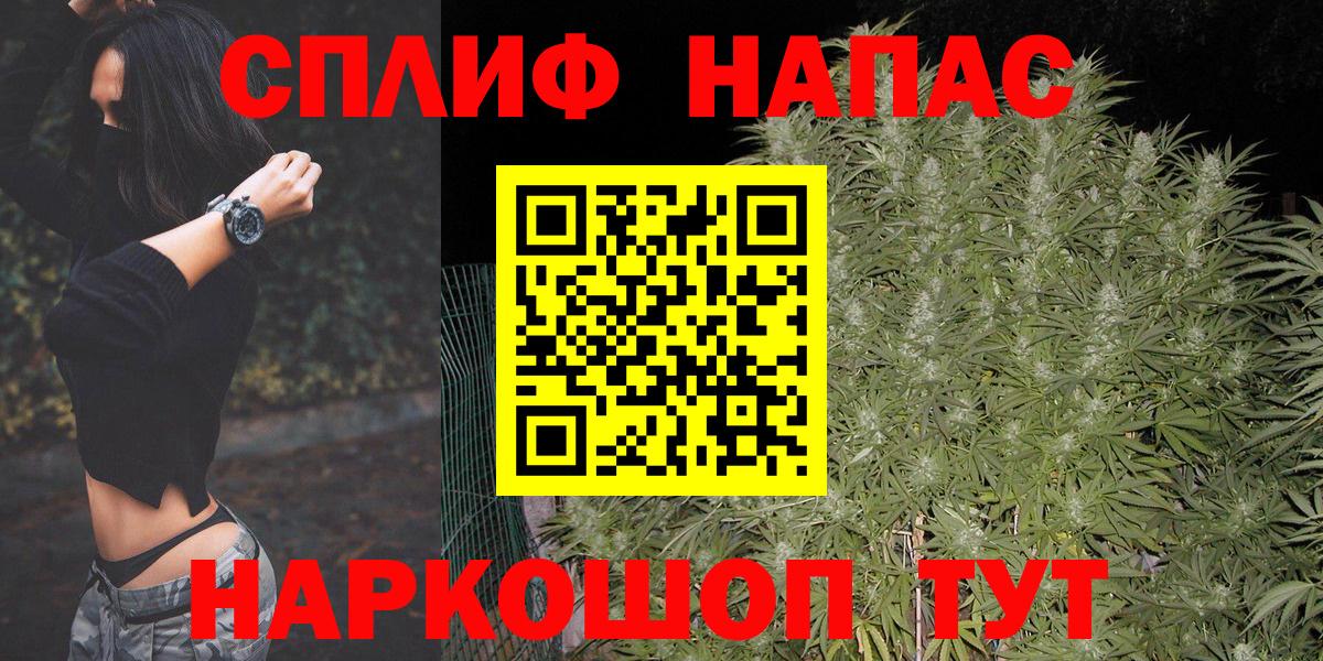 Конопля планчик Алатырь