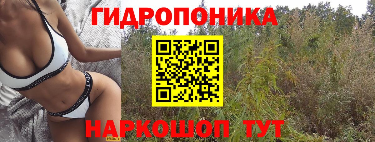 Шишки марихуана Bruce Banner  Вход с VPN  Алатырь  Шишки марихуана THC 21%  МАРИХУАНА SATIVA & INDICA 